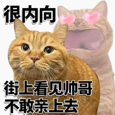 表情包头像