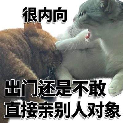表情包头像
