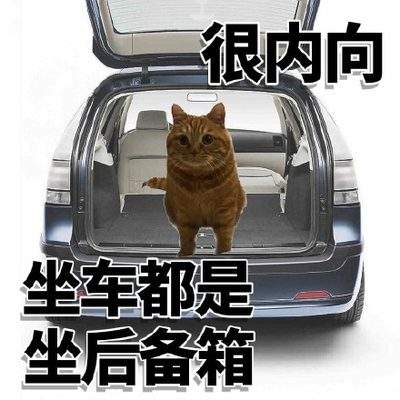表情包头像