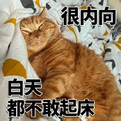 表情包头像