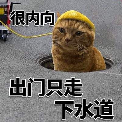 表情包头像