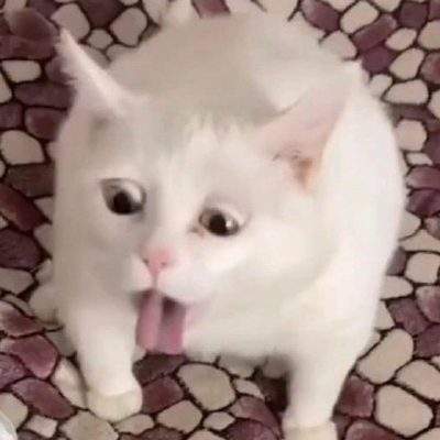 表情包头像