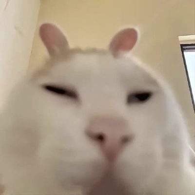 表情包头像