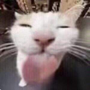 表情包头像