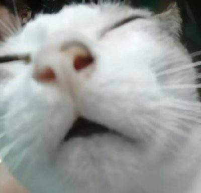 表情包头像