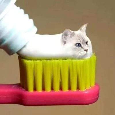 表情包头像