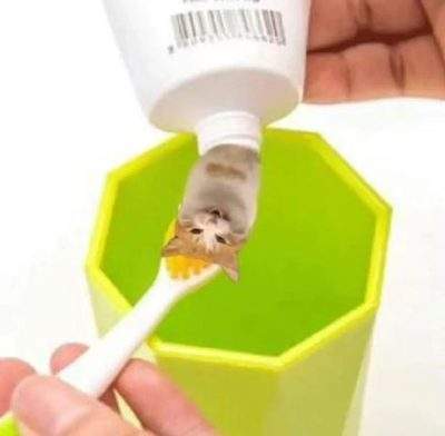 表情包头像