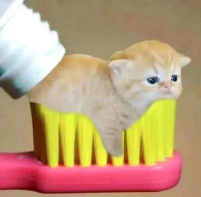 表情包头像