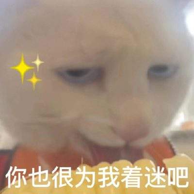 表情包头像