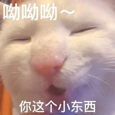 表情包头像