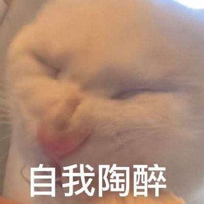表情包头像