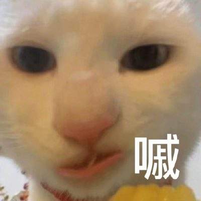 表情包头像