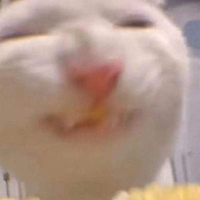 表情包头像
