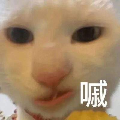 表情包头像