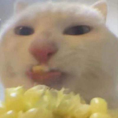 表情包头像