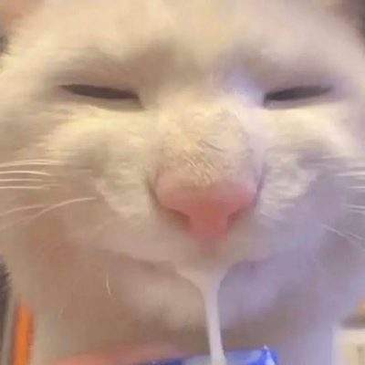 表情包头像