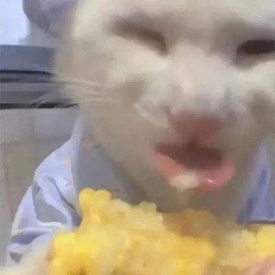 表情包头像