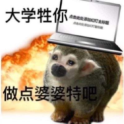 表情包头像