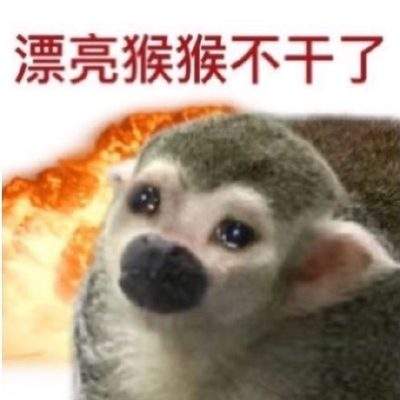 表情包头像