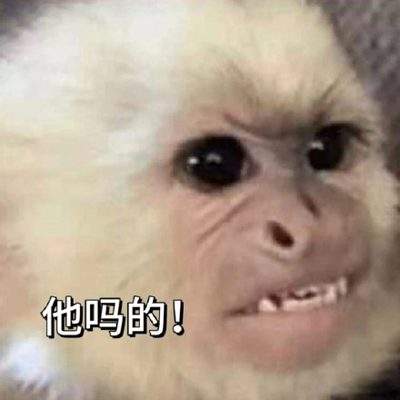 表情包头像