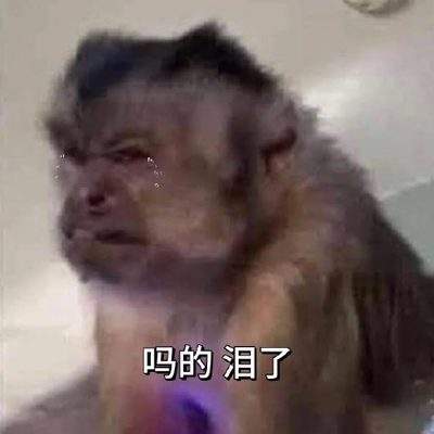表情包头像