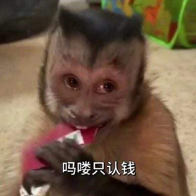 表情包头像