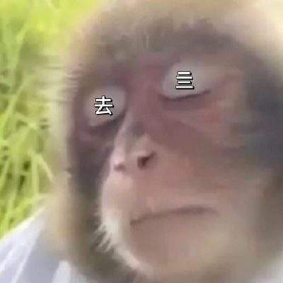 表情包头像