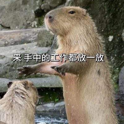 表情包头像