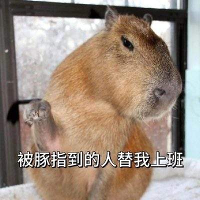 表情包头像