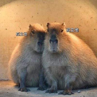表情包头像