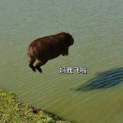 表情包头像