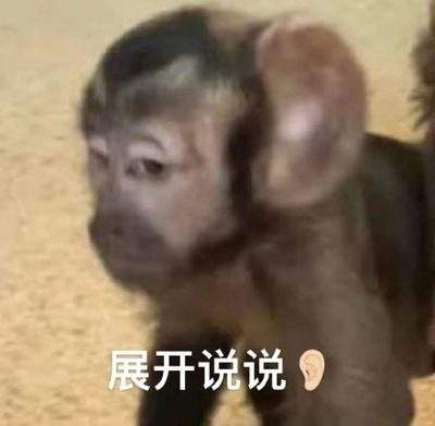 表情包头像