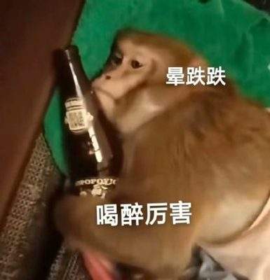 表情包头像