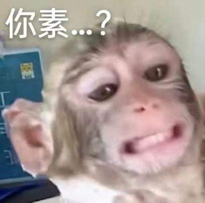 表情包头像