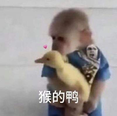表情包头像