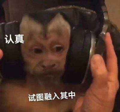 表情包头像