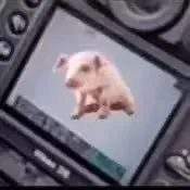 表情包头像