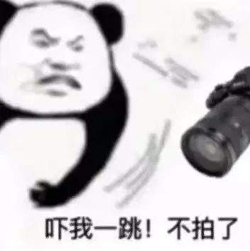 表情包头像