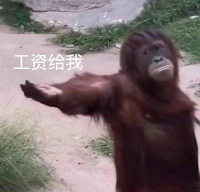 表情包头像