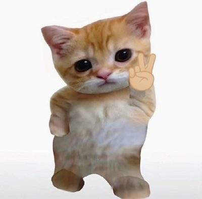 表情包头像