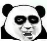 动态表情头像