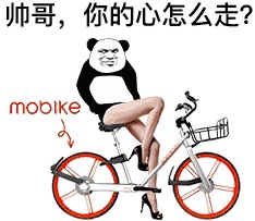 动态表情头像
