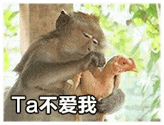 动态表情头像