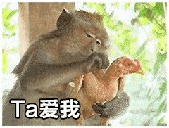动态表情头像