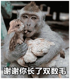 动态表情头像