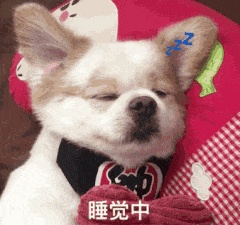 动态表情头像