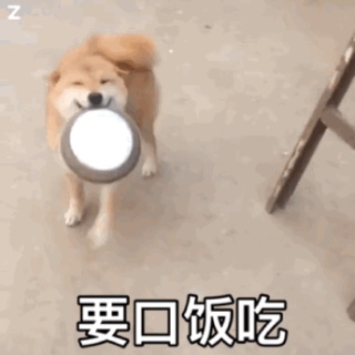动态表情头像