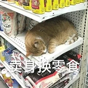 动态表情头像