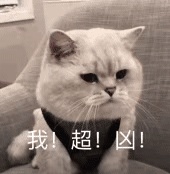 动态表情头像