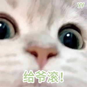 动态表情头像